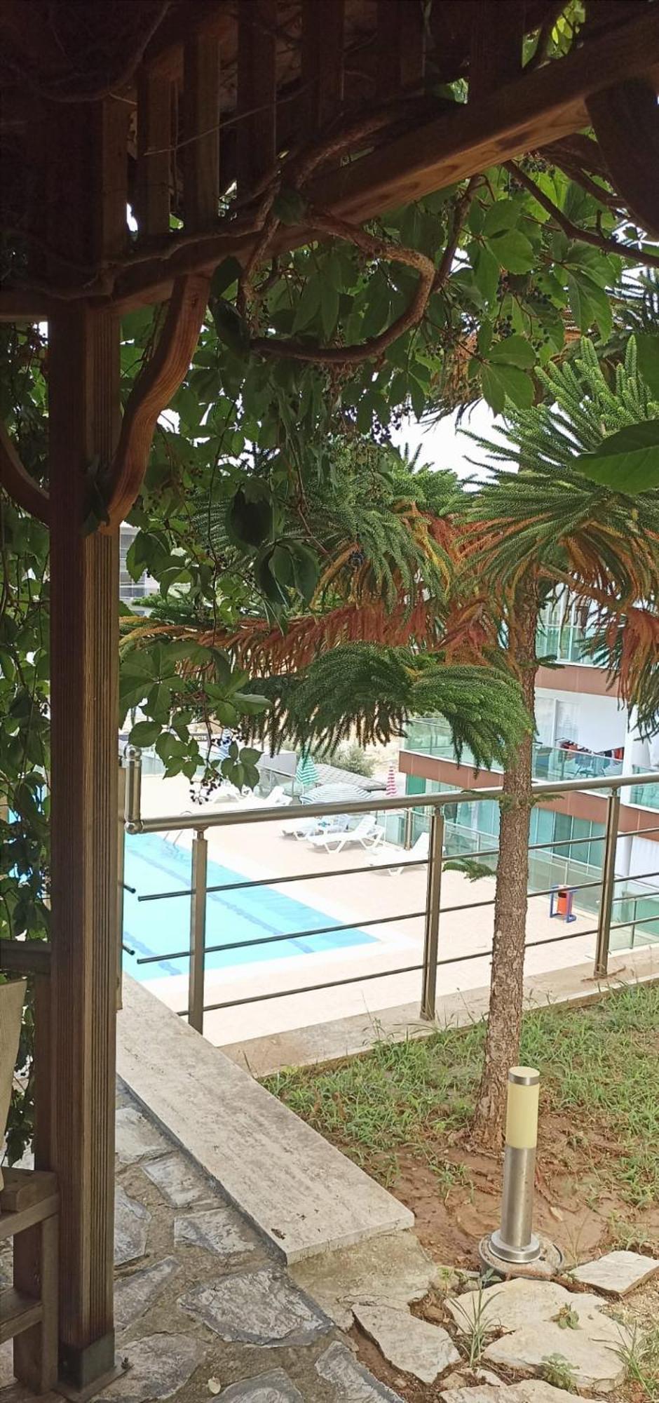 Luxury 7min Walk To Kestel Appartement *